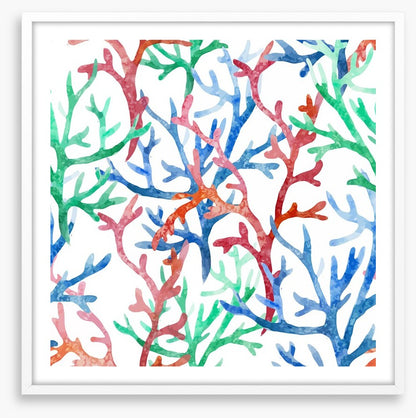 Coral colours