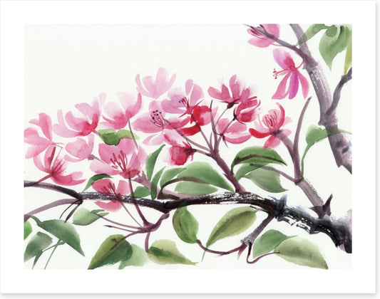 Cherry blossom
