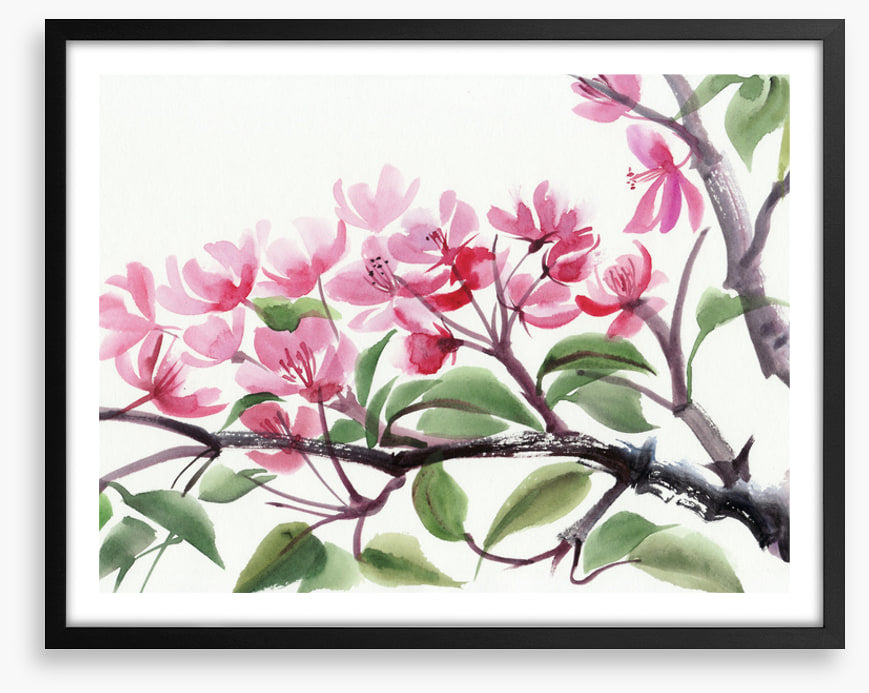 Cherry blossom