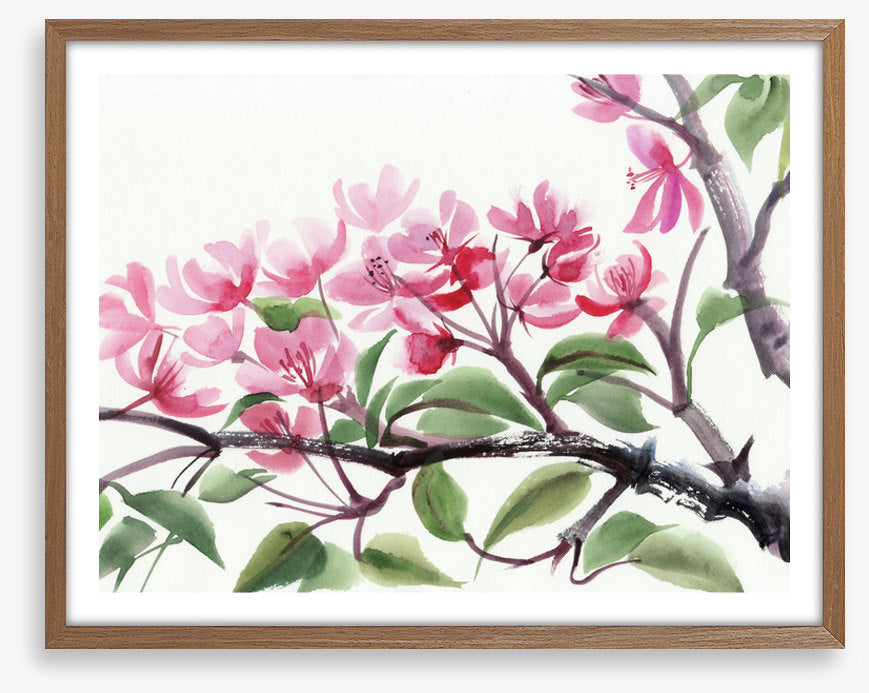 Cherry blossom