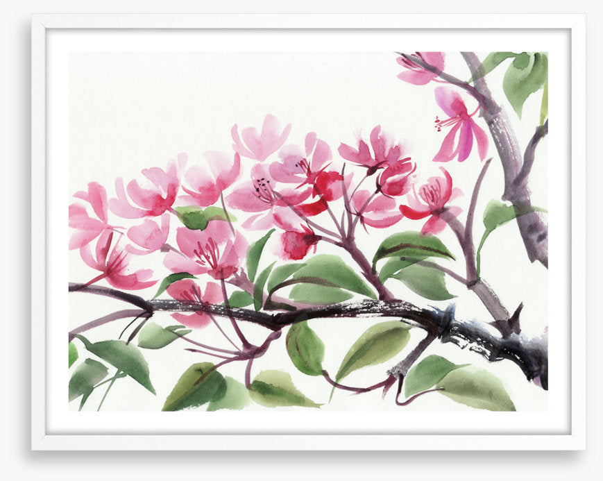 Cherry blossom