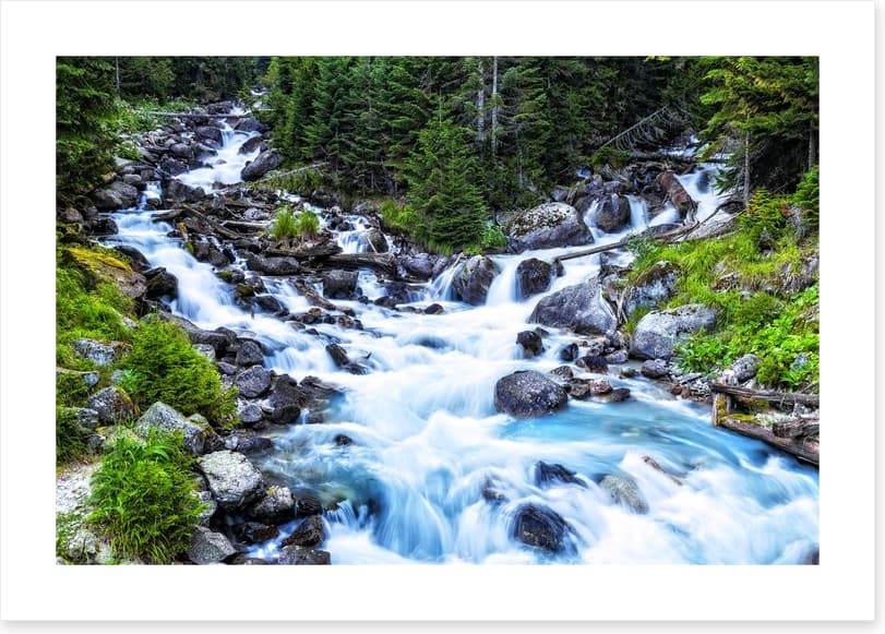 Pristine forest river
