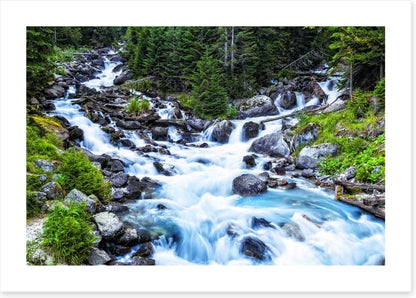 Pristine forest river