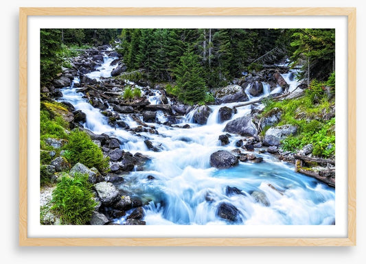 Pristine forest river