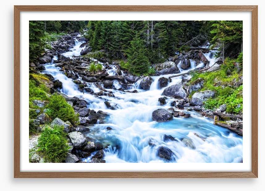 Pristine forest river