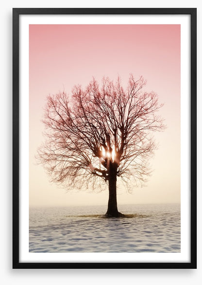 La vie en rose