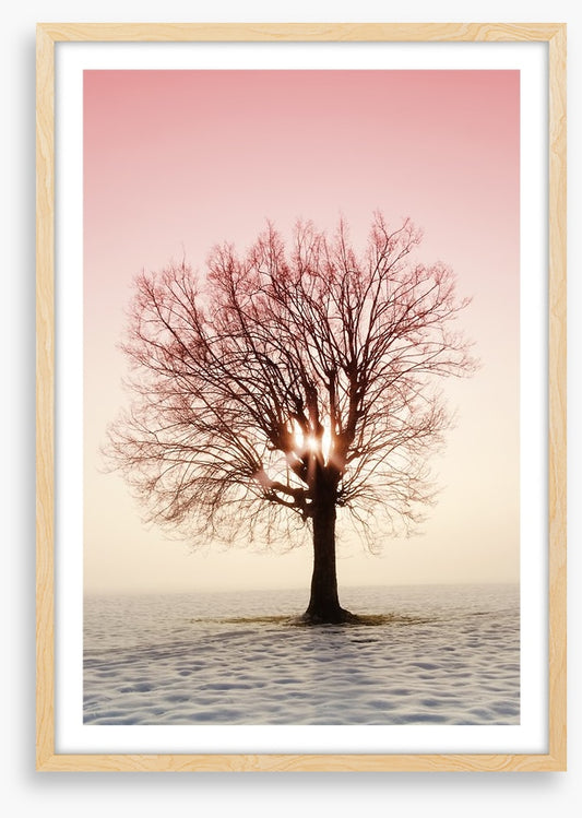 La vie en rose