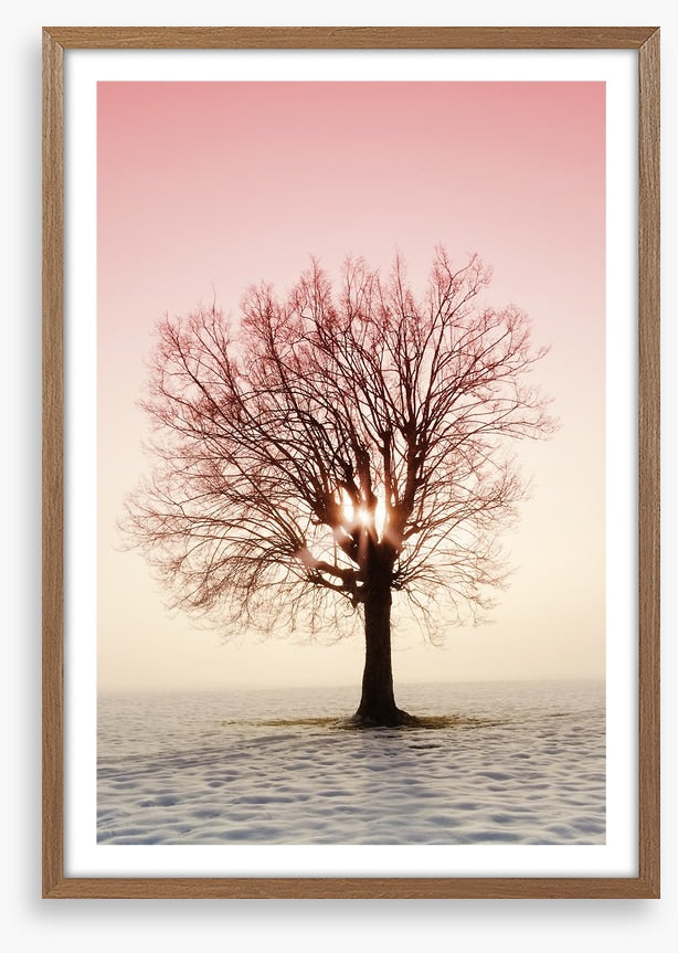 La vie en rose