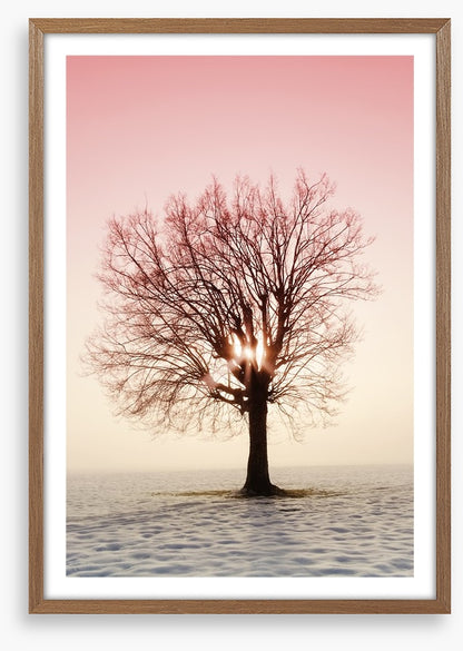 La vie en rose