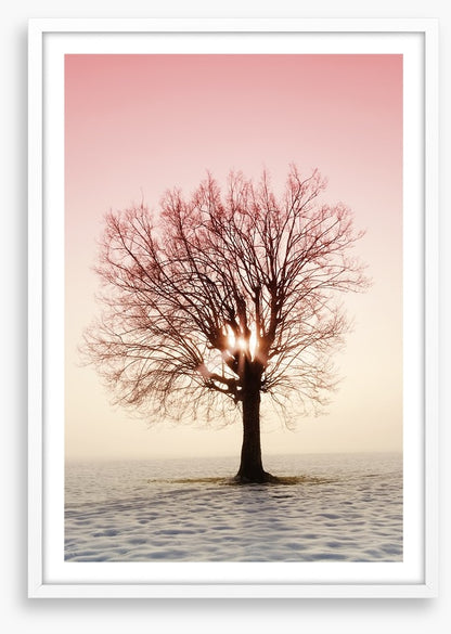 La vie en rose
