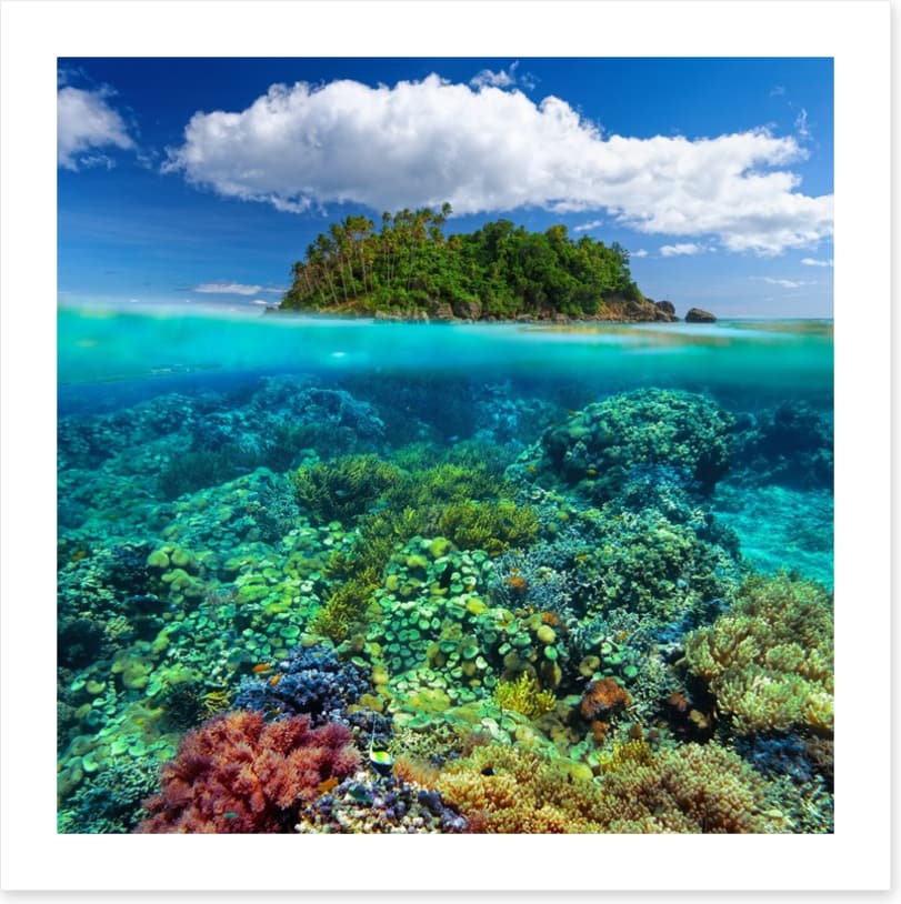 Underwater garden