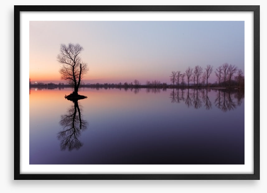 Sunrise silhouettes