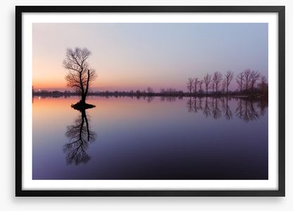 Sunrise silhouettes