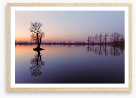 Sunrise silhouettes