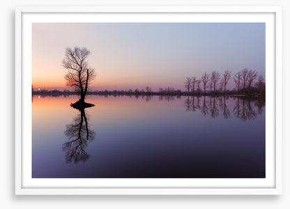 Sunrise silhouettes