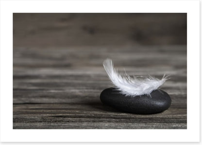 Equilibrium