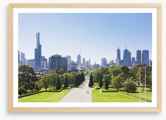 Botanic gardens skyline