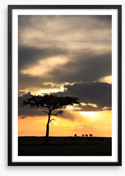Masai Mara sunset