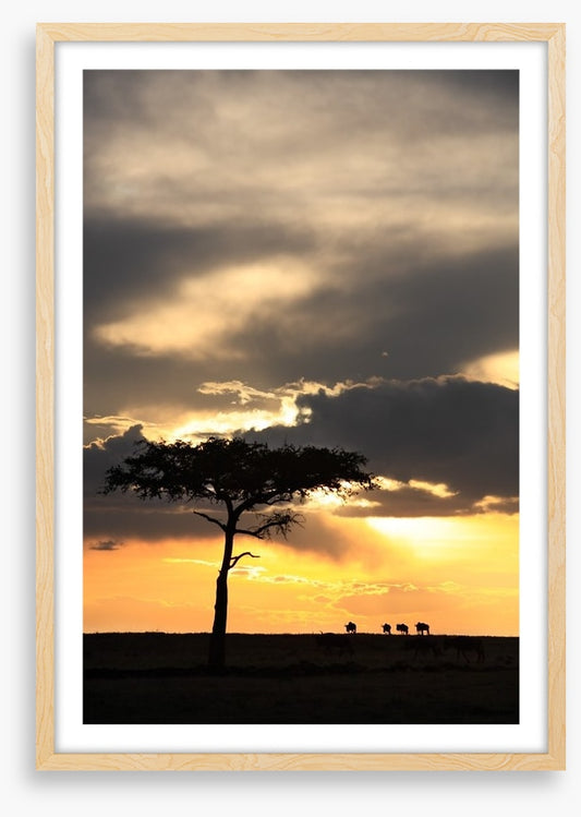 Masai Mara sunset