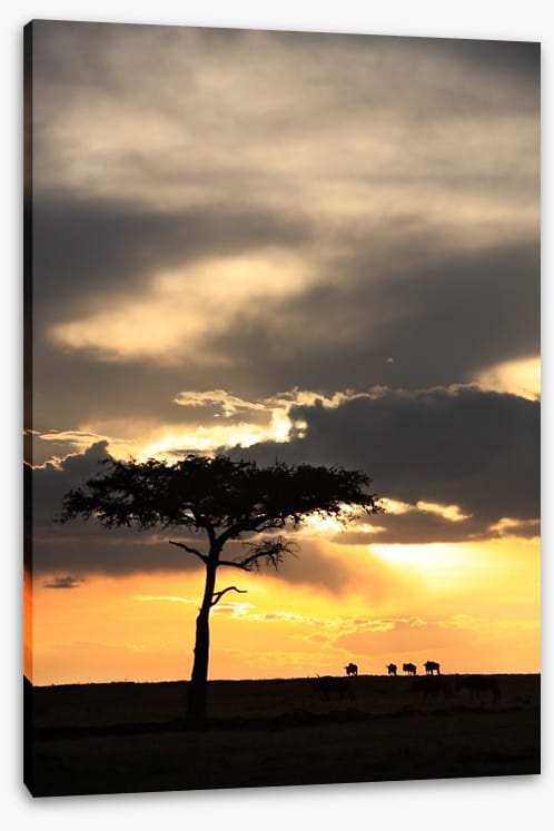 Masai Mara sunset