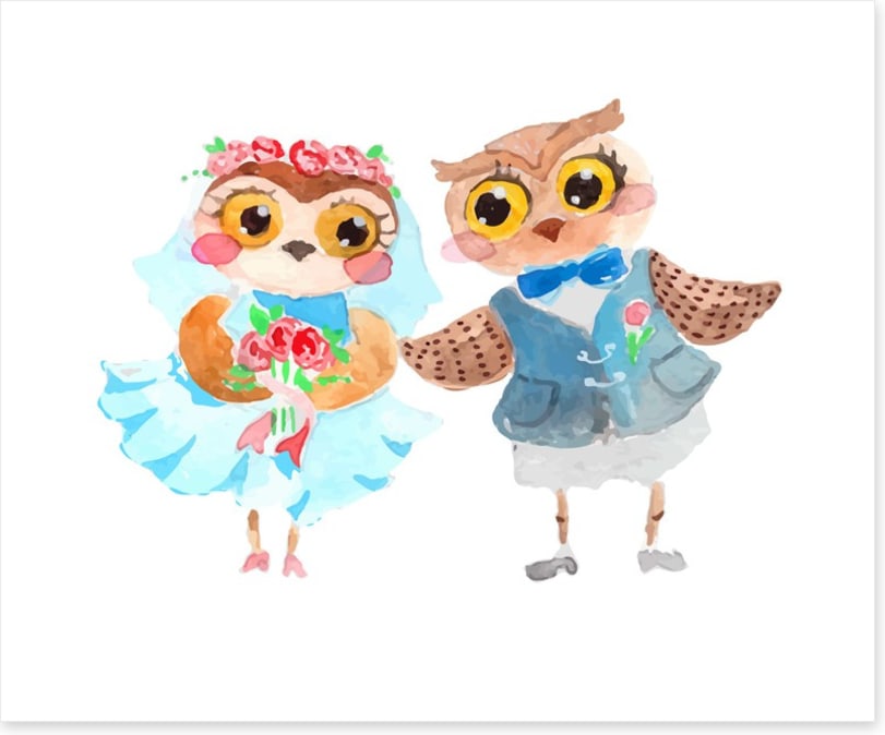 Owls