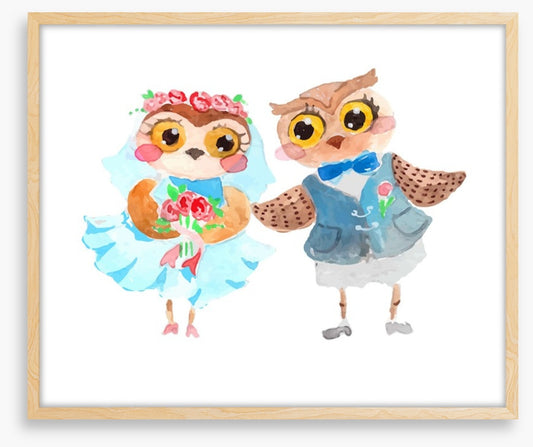 Owls