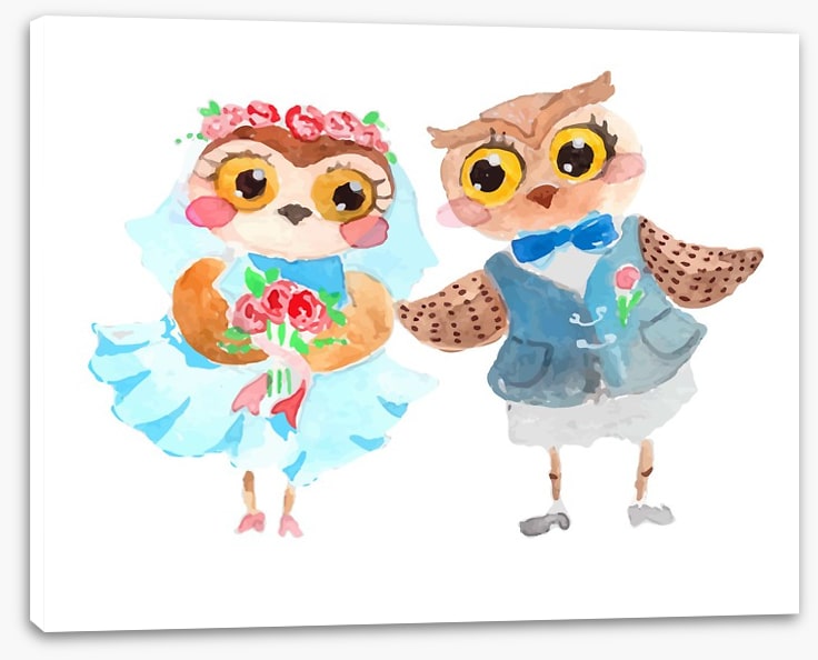 Owls