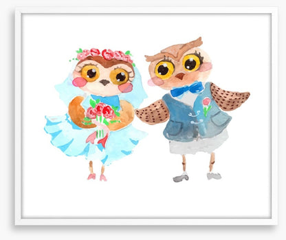 Owls