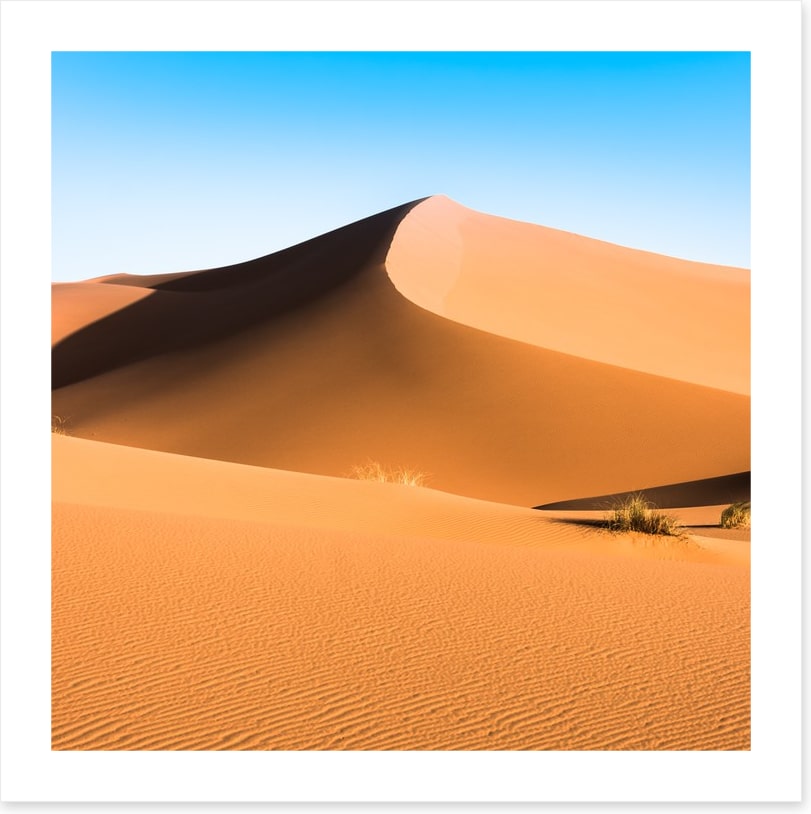 Desert