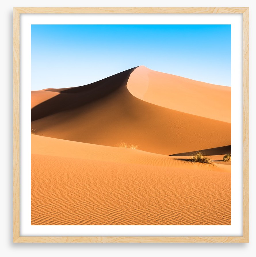 Desert