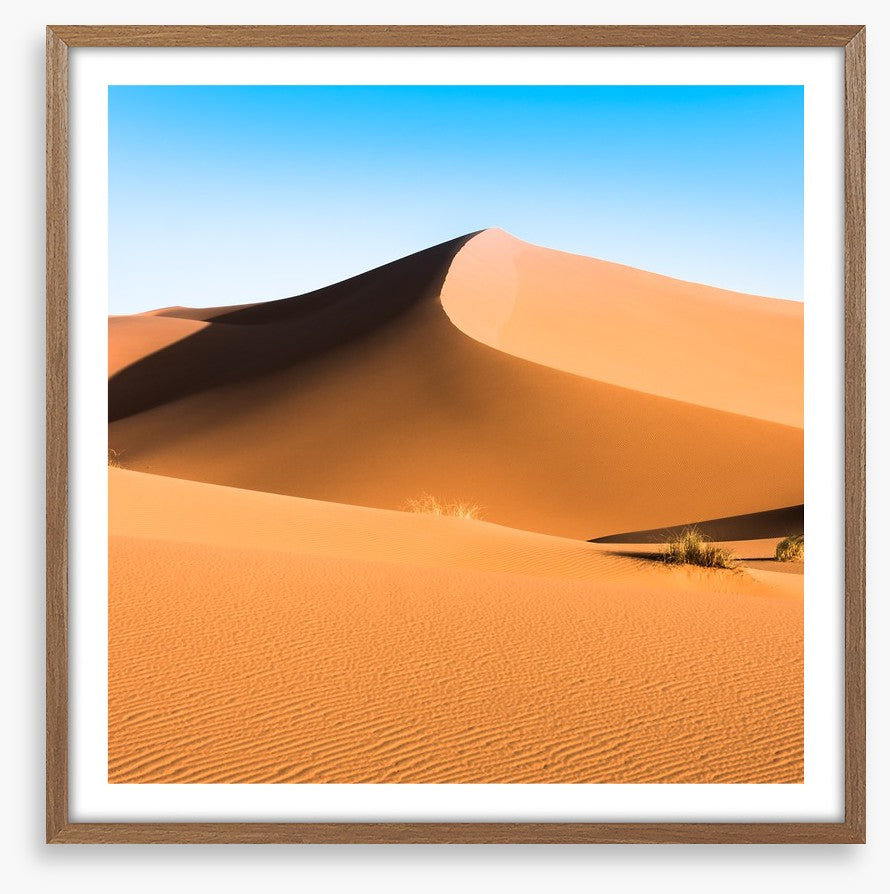 Desert