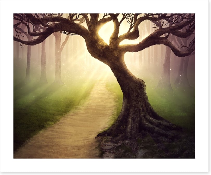 Mystical forest pathway