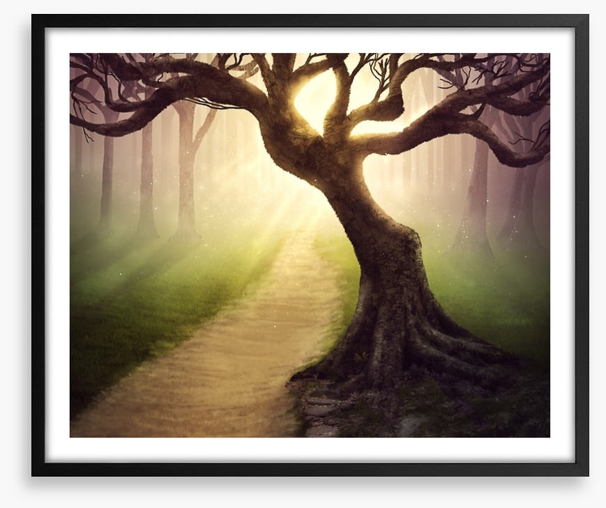 Mystical forest pathway