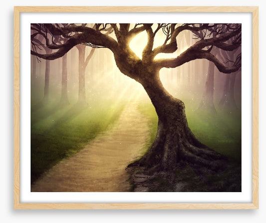 Mystical forest pathway