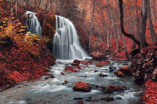 Vibrant autumn falls