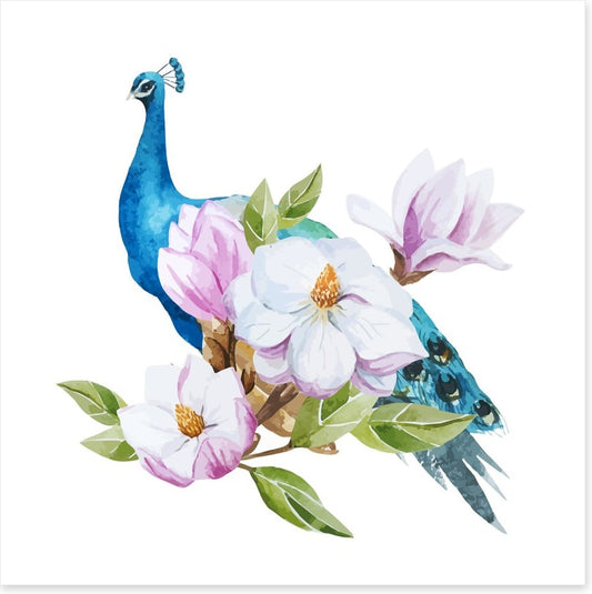 Magnolia peacock