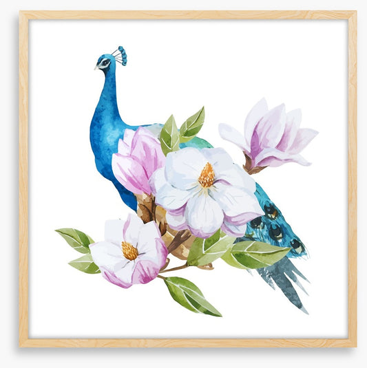 Magnolia peacock