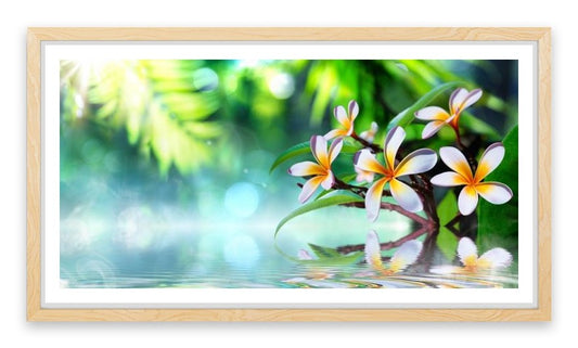 Frangipani water garden