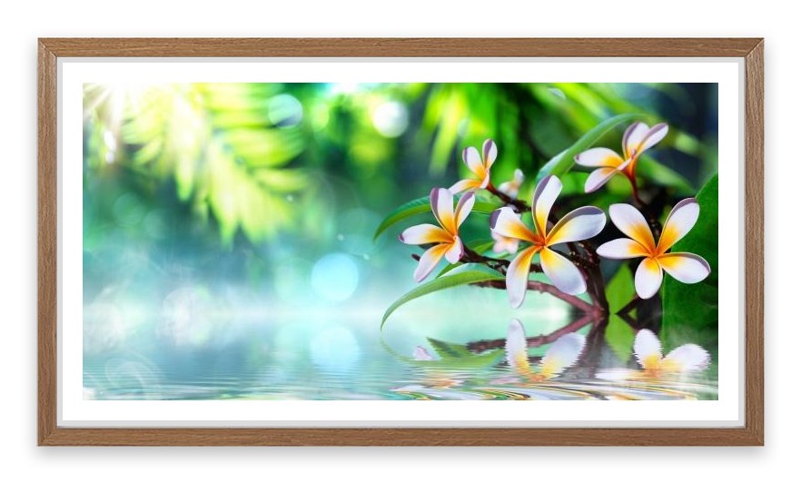 Frangipani water garden