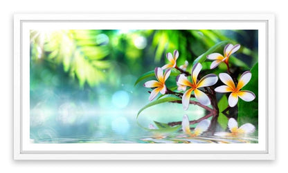 Frangipani water garden