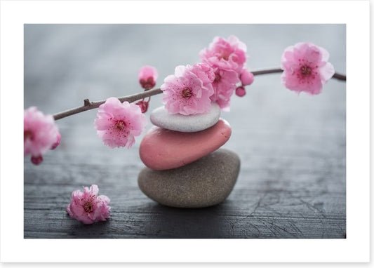 The beauty of zen