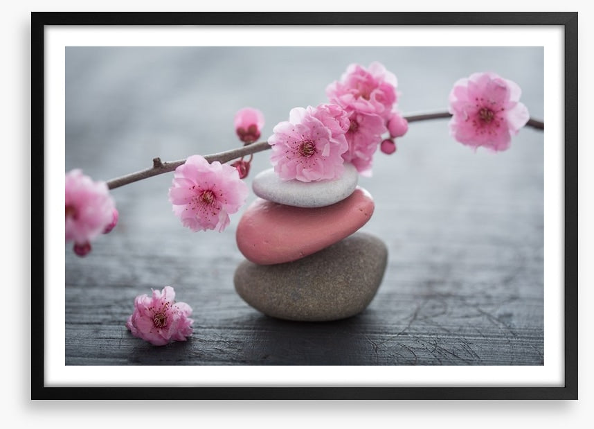 The beauty of zen