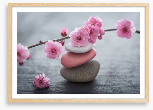 The beauty of zen