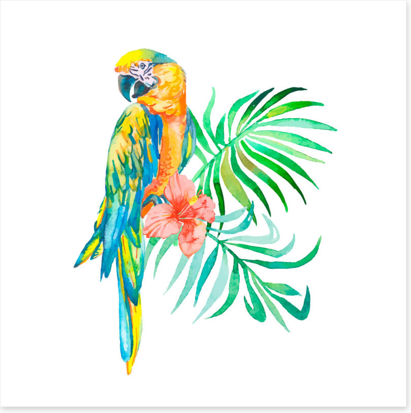Golden macaw