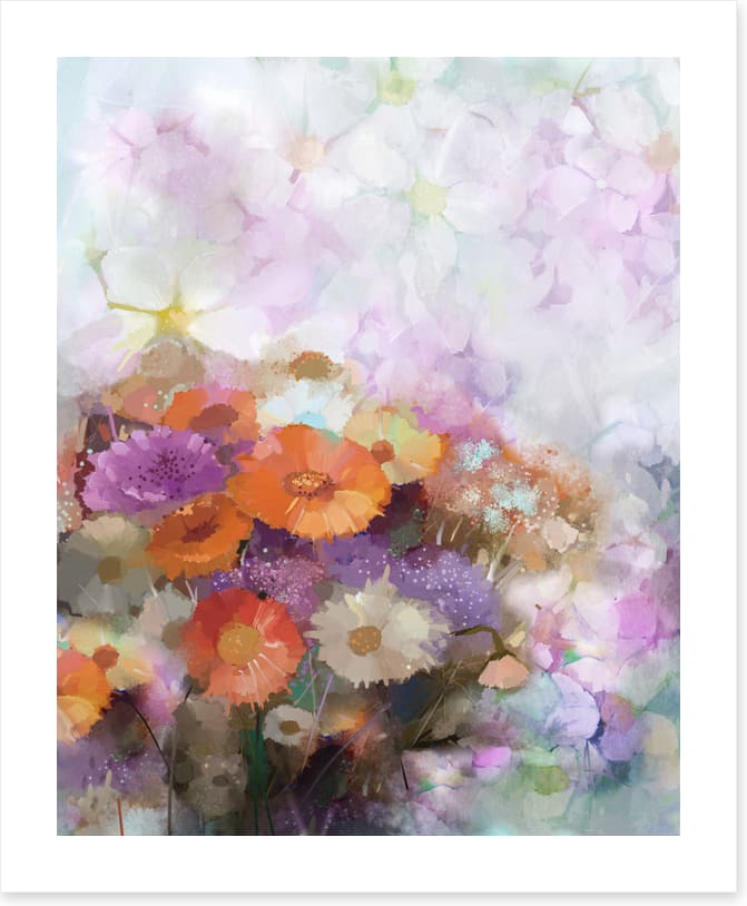 Gerbera dreams