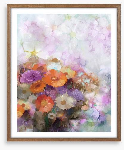 Gerbera dreams