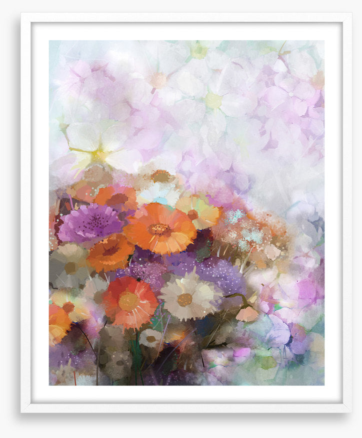 Gerbera dreams