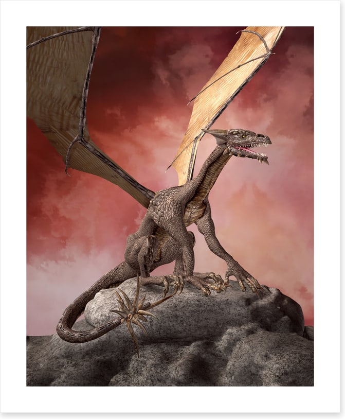Dragons