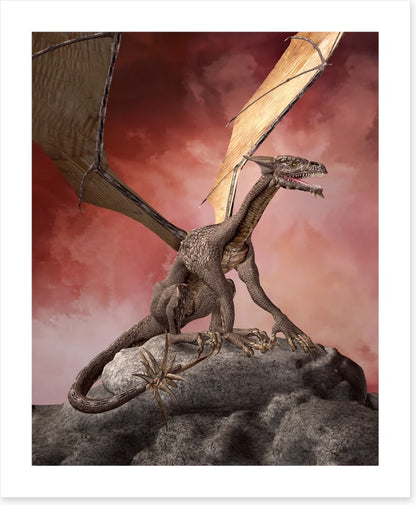 Dragons