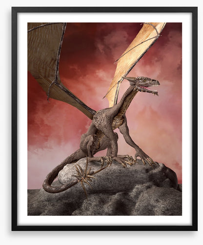 Dragons